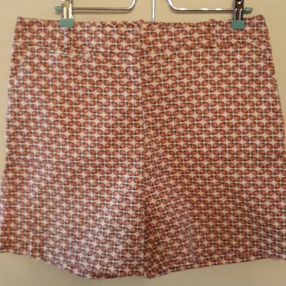 Talbots Whimsical ladybug shorts Size 10
